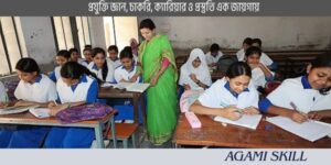 ডিপ্লোমা ইন প্রাইমারি এডুকেশন (ডিপিএড) প্রোগ্রাম